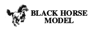 Black Horse Logo